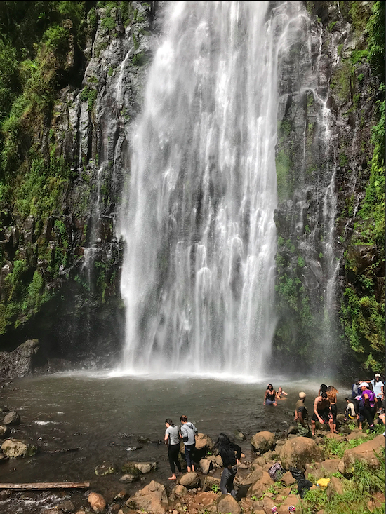 Kilimanjaro Ulusal Parkı: Şelaleler ve Kahve Turu